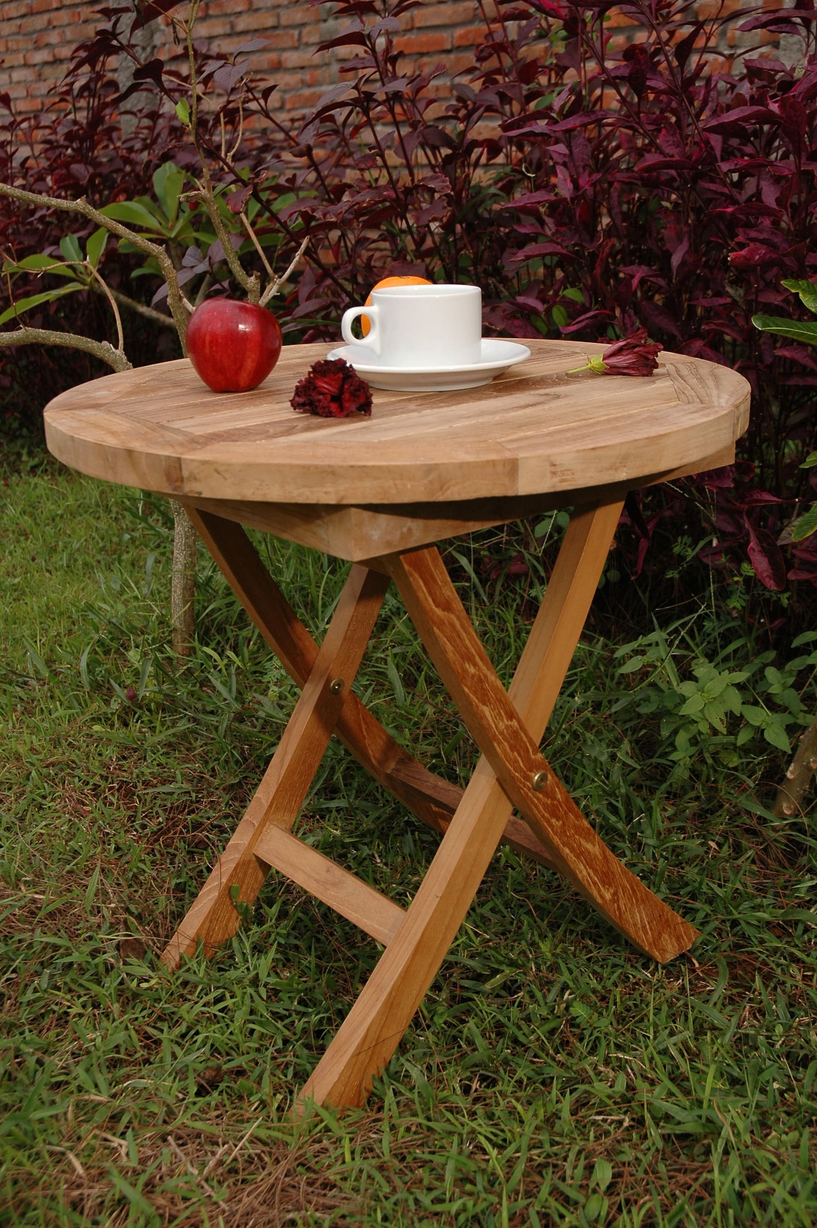 Wooden folding table with a cup, plate, and apples on a grassy area with plants in the background