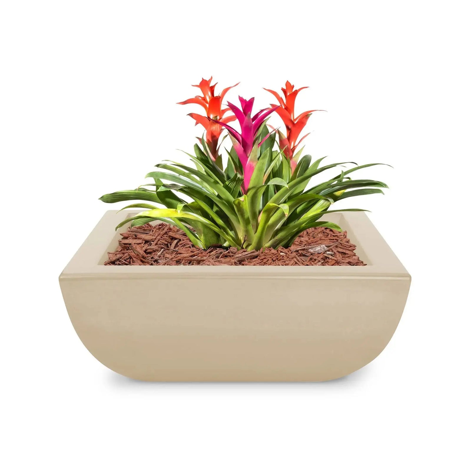 The Outdoor Plus 24