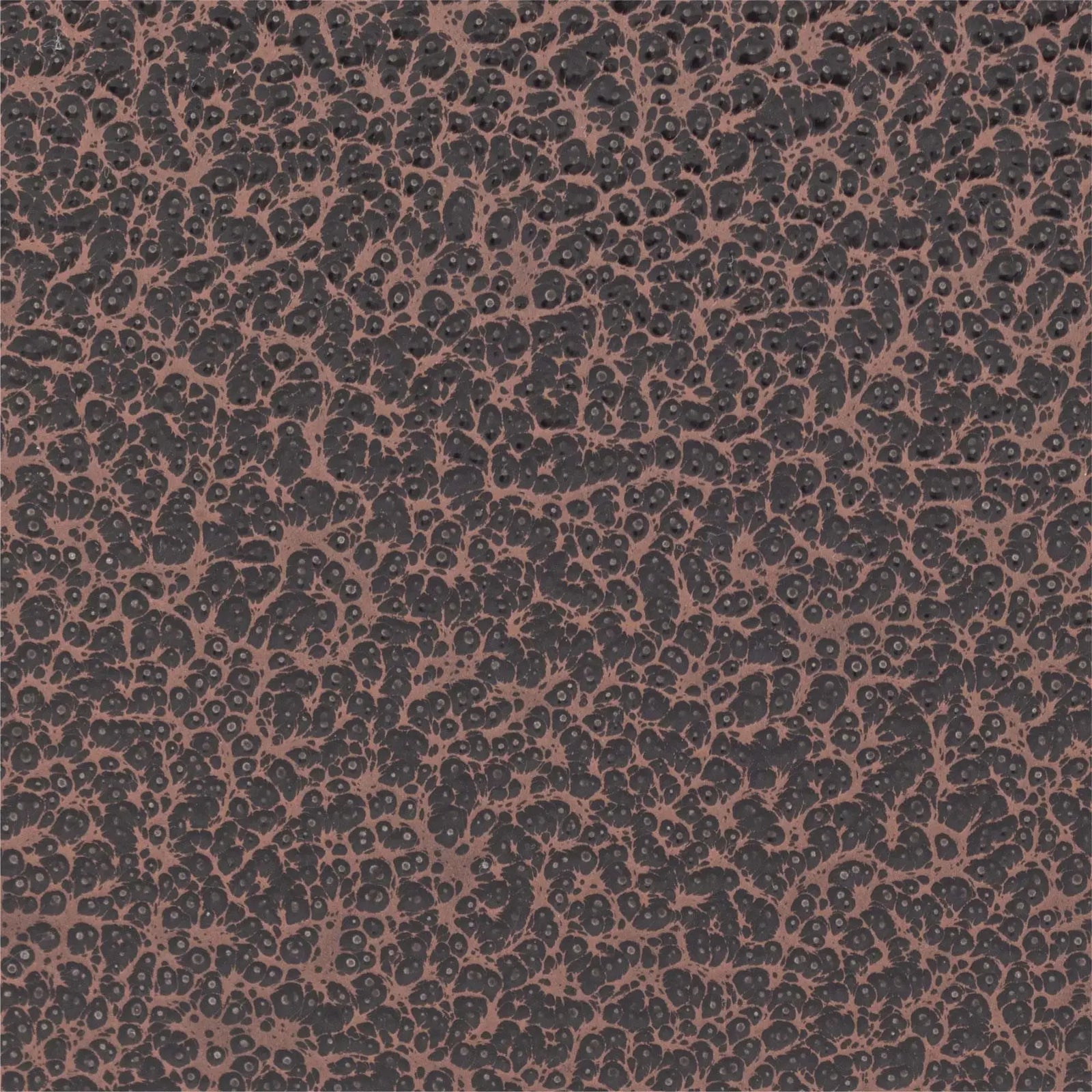 n 4666→ },
