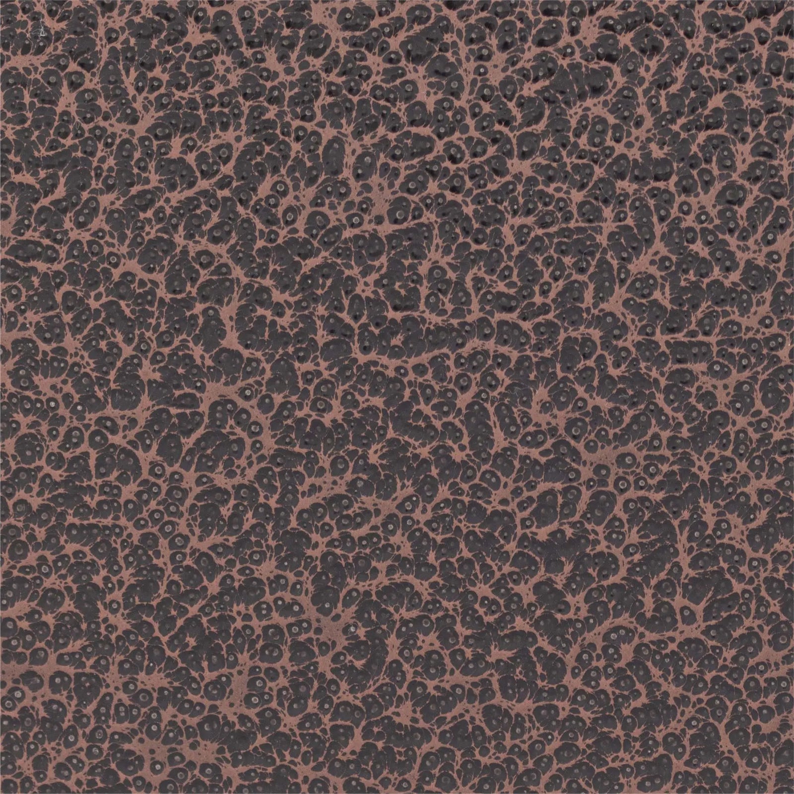 n 4834→ },