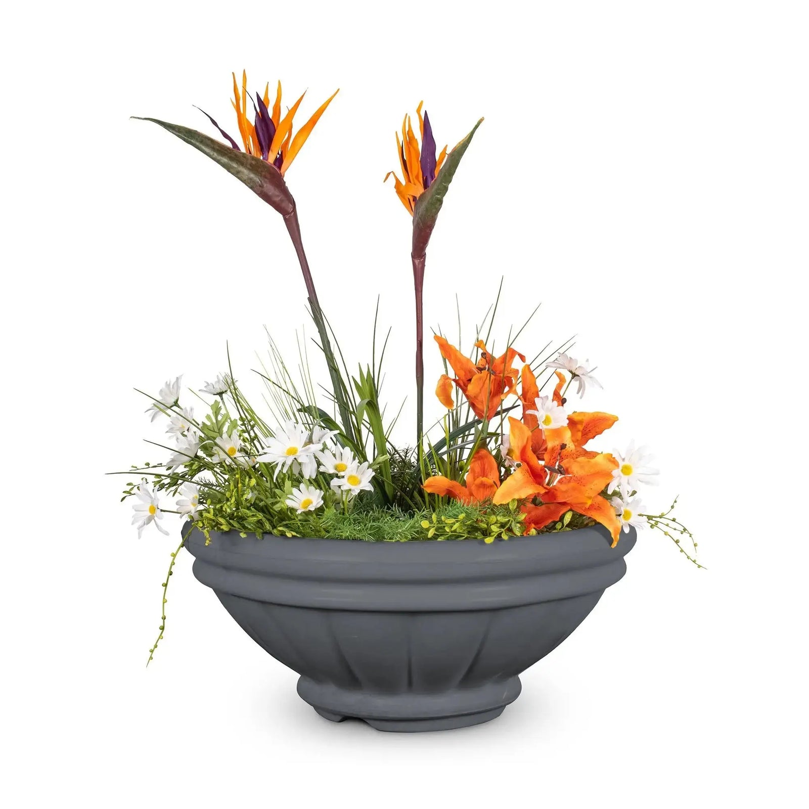 The Outdoor Plus 24
