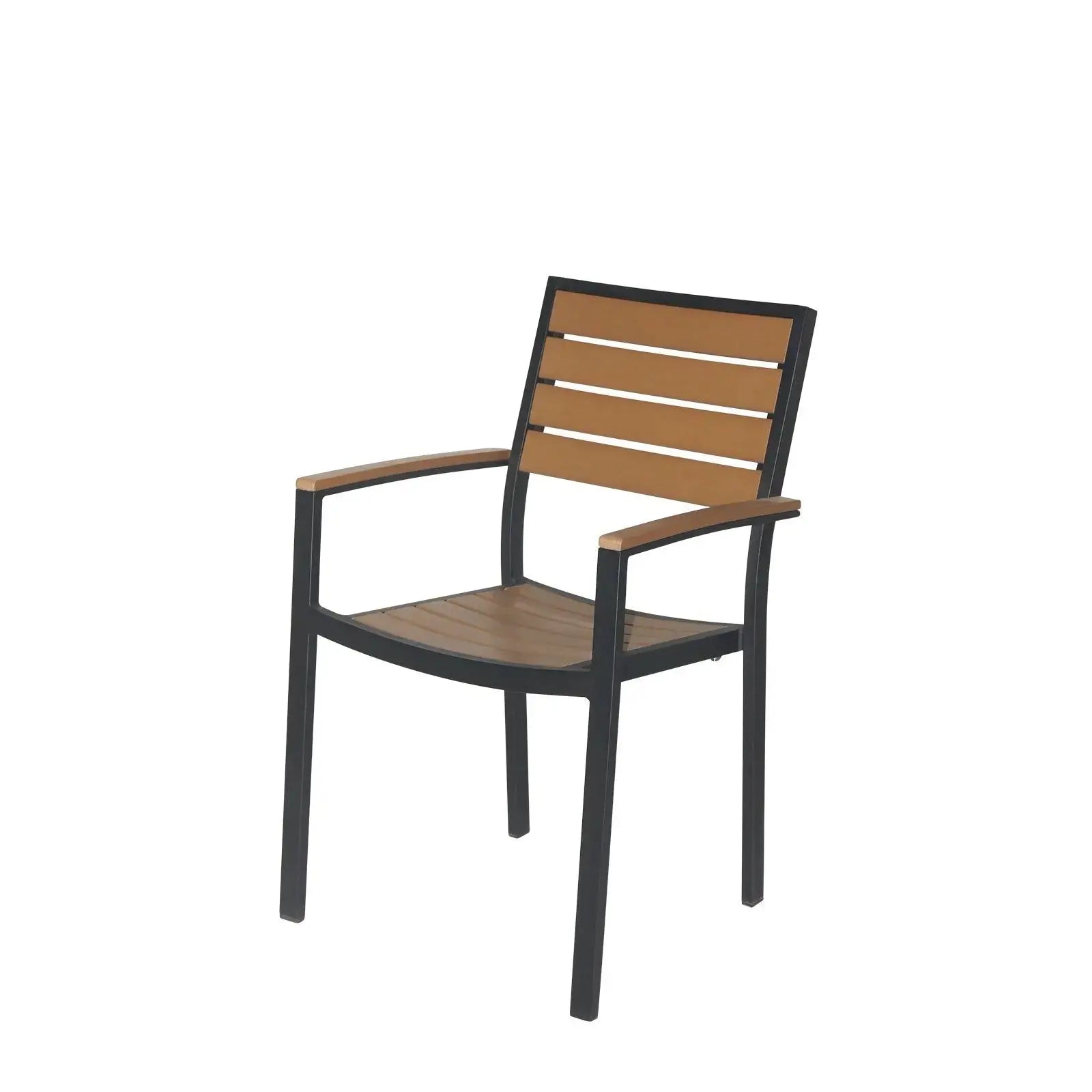Source Napa Dining Arm Chair Black Frame SC-2405-163-BLK - BetterPatio.com