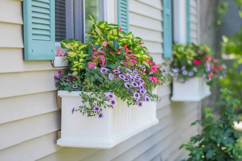// BetterPatio.com