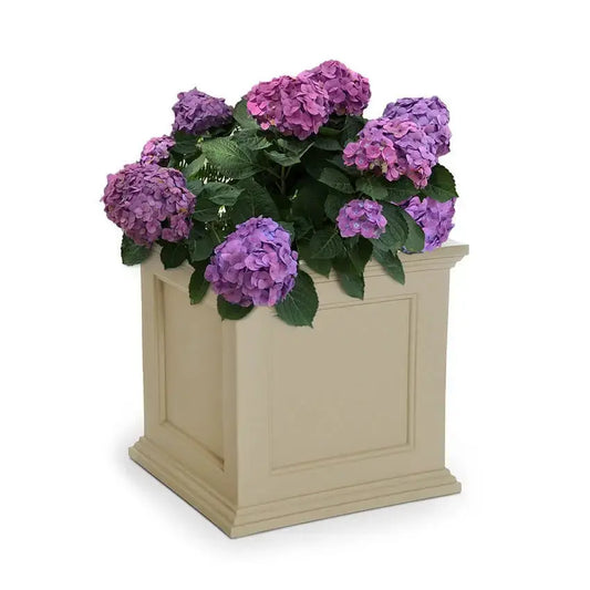 // BetterPatio.com