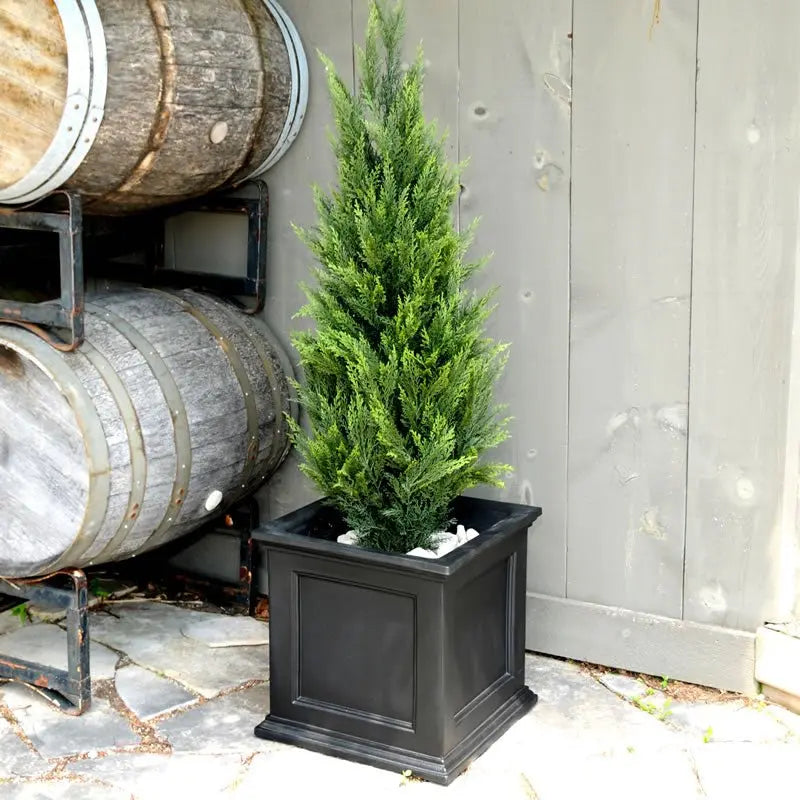 // BetterPatio.com