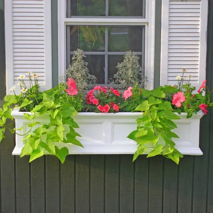 // BetterPatio.com