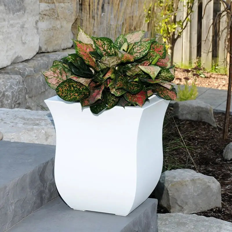 // BetterPatio.com