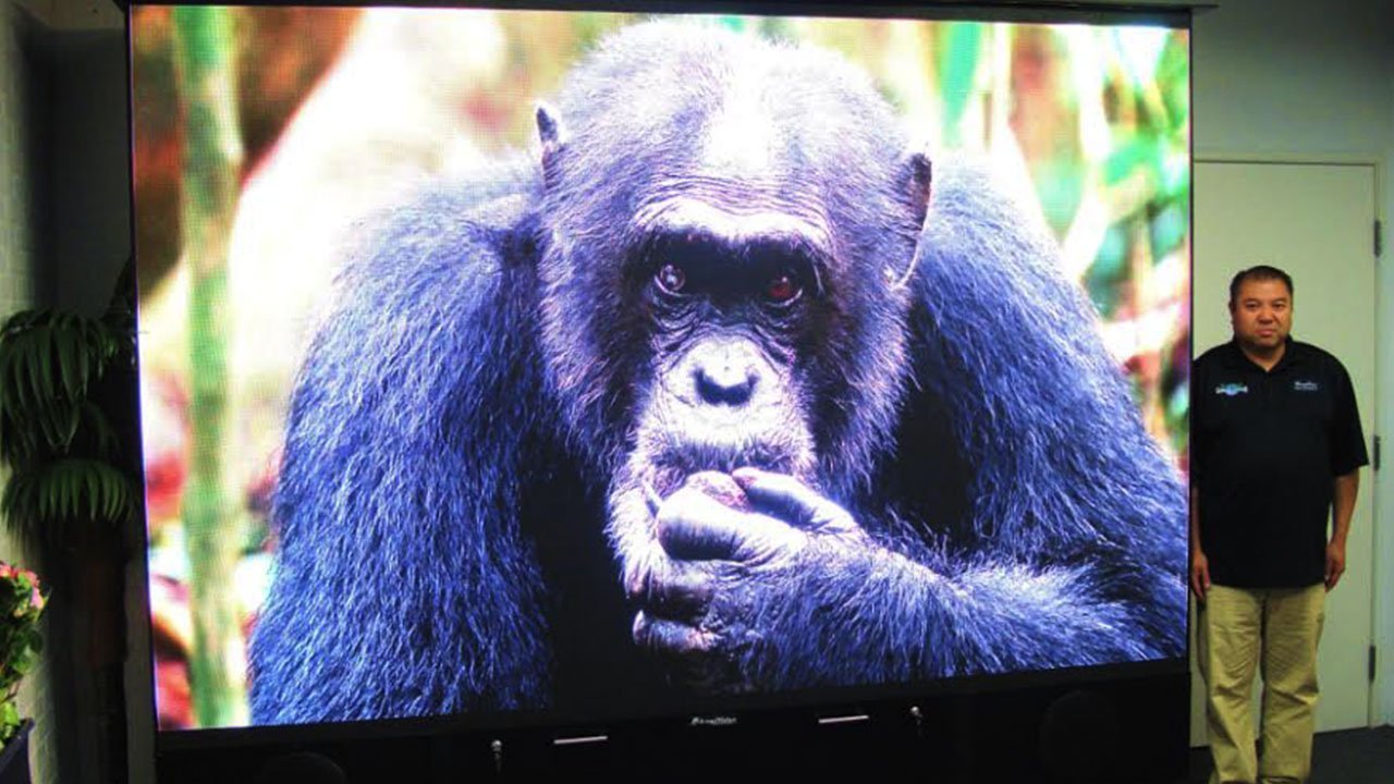 MirageVision TVMirageVision TV Diamond Q 4K 75" MV75DQ80T- BetterPatio.com