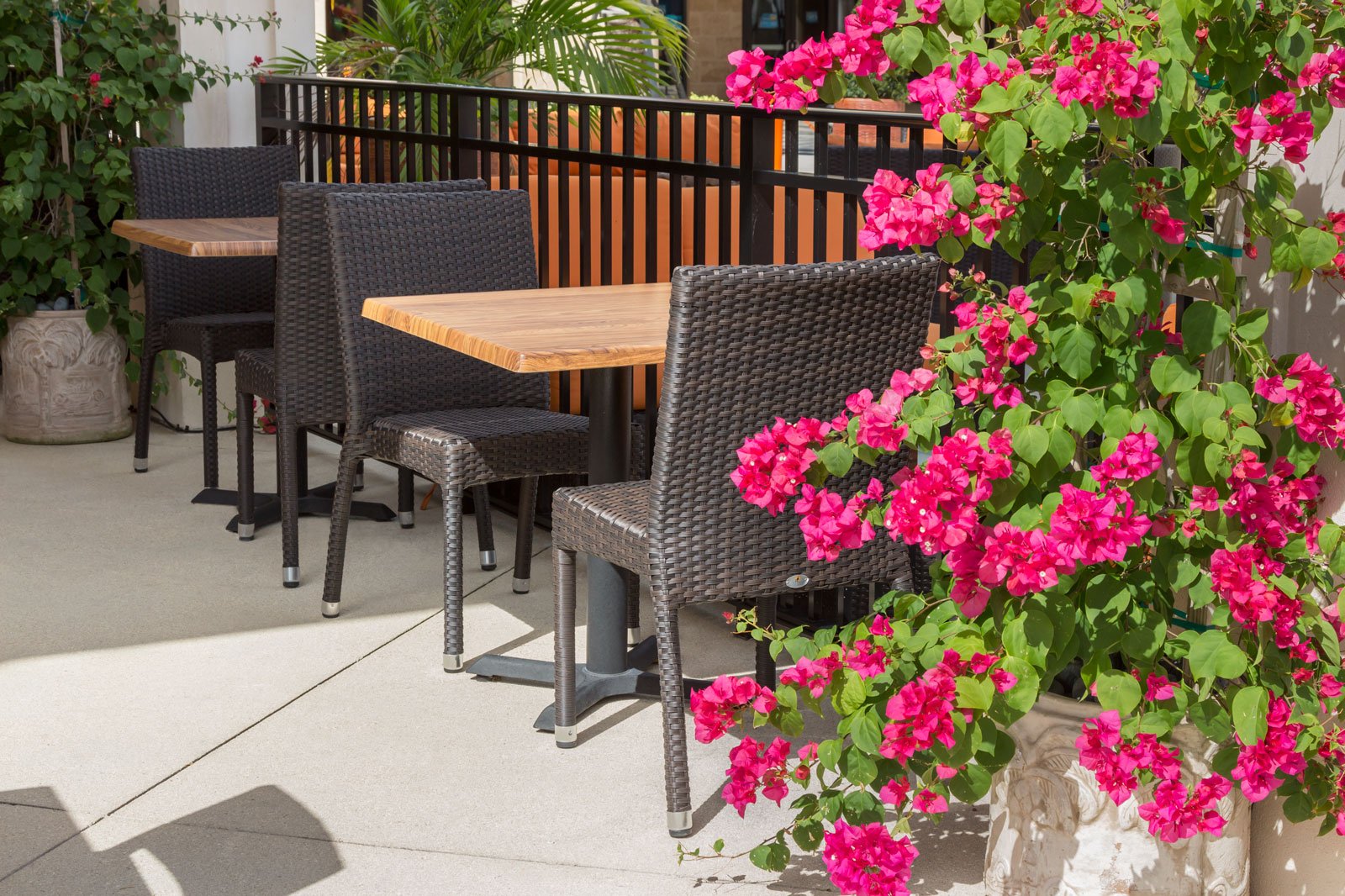 Source Furniture Sierra Dining Side Armless Chair, Espresso - BetterPatio.com