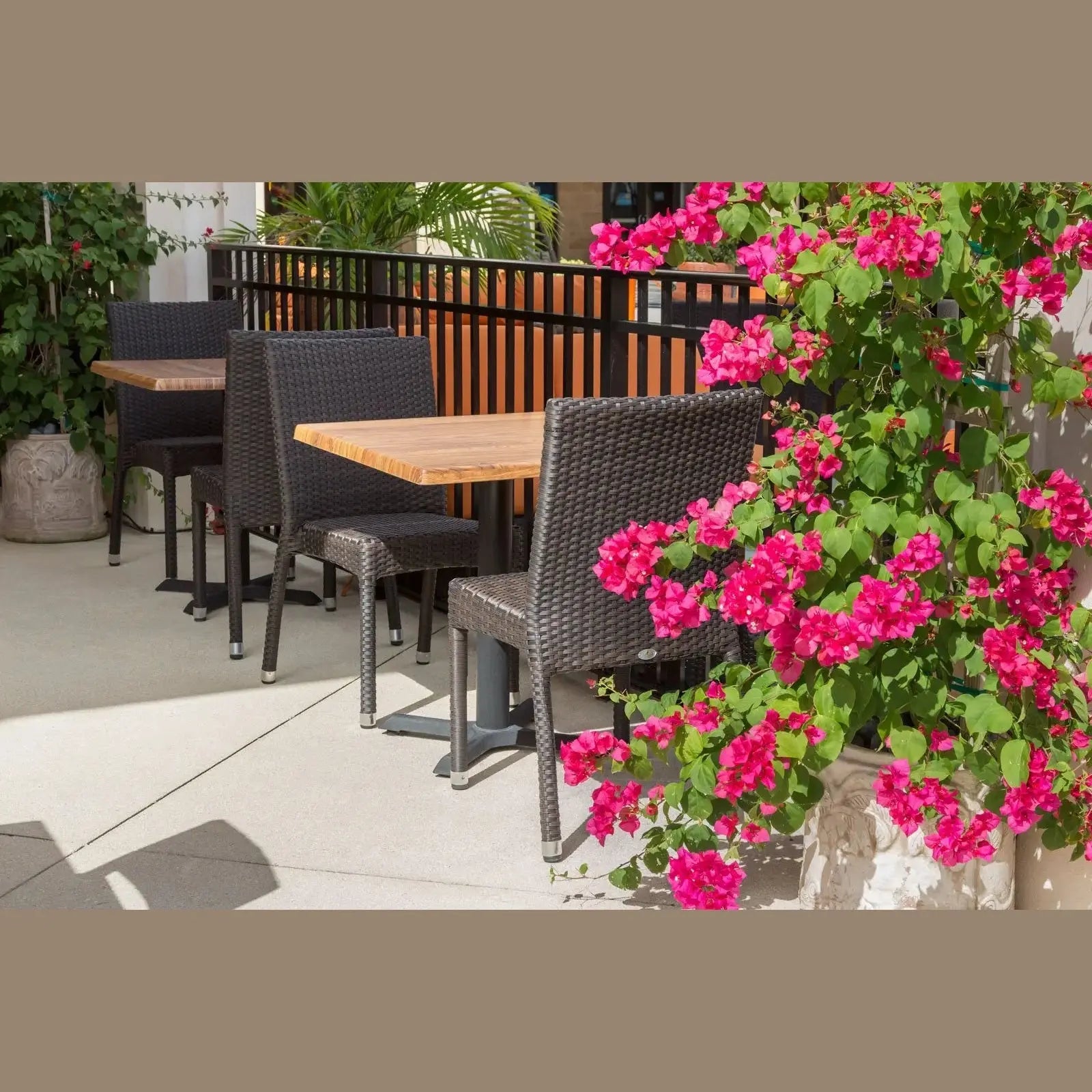 Source Furniture Sierra Dining Side Armless Chair, Espresso - BetterPatio.com