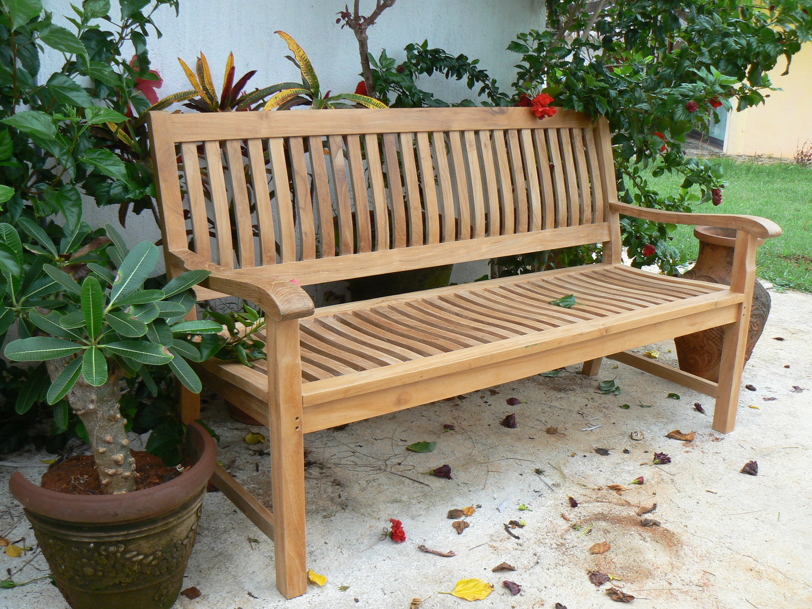 Wooden bench in a garden setting with plants and a light surface.