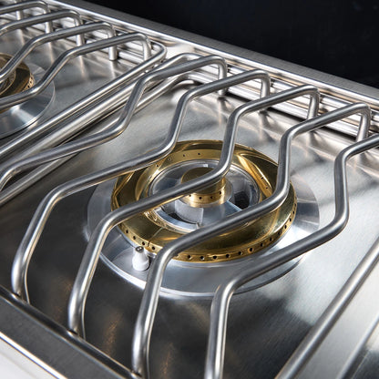 RCS Cutlass Elite Double Side Burner with Color Changing Knobs CDB1EL RCS