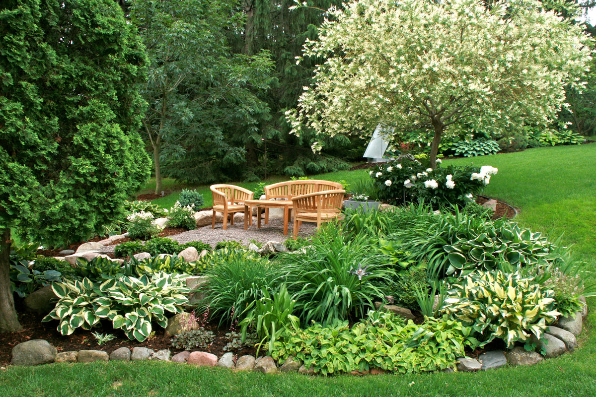 Garden with wooden furniture, plants, and trees in a natural setting