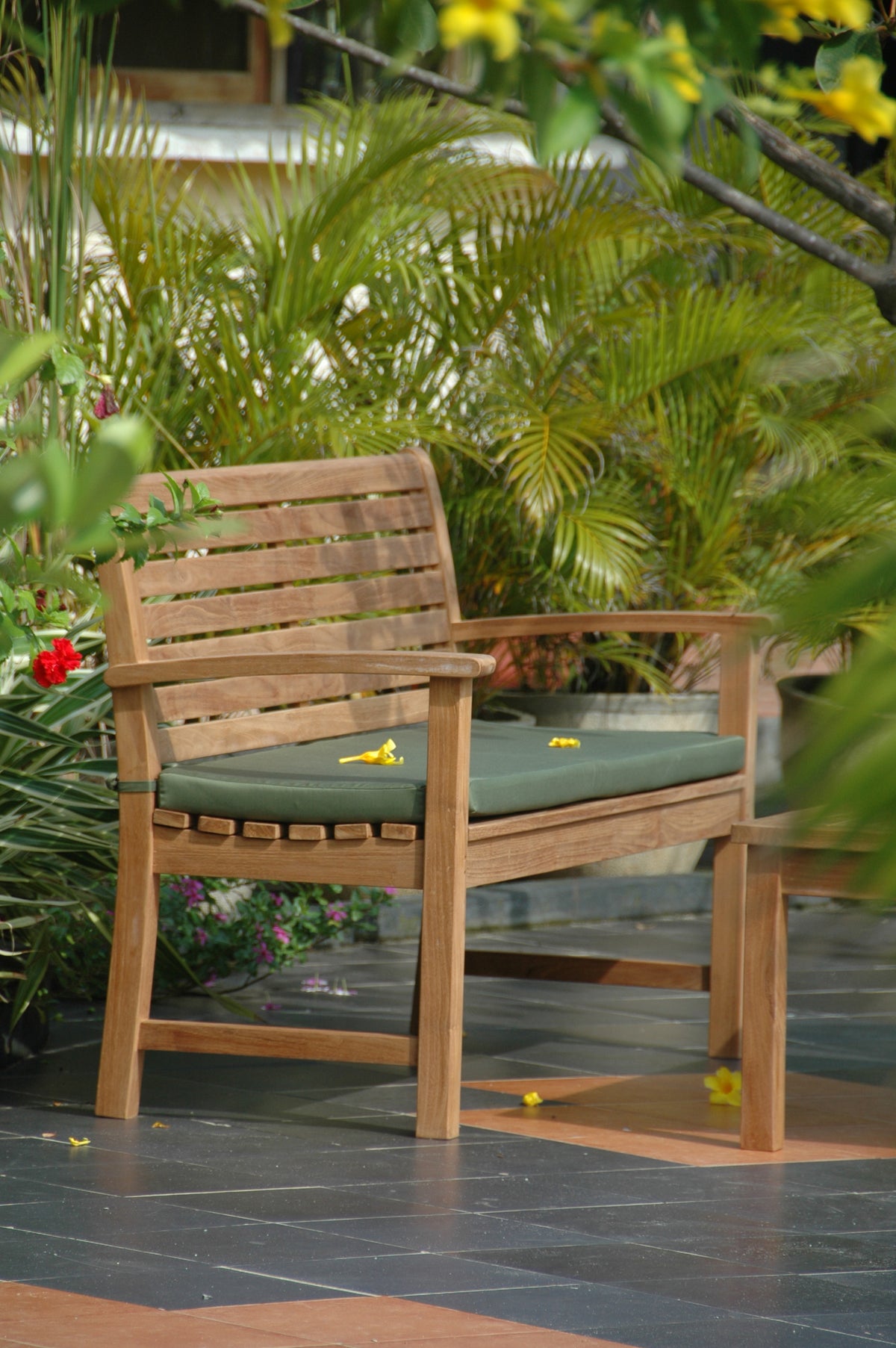 Wooden chair with a green cushion on a patio surrounded by plants