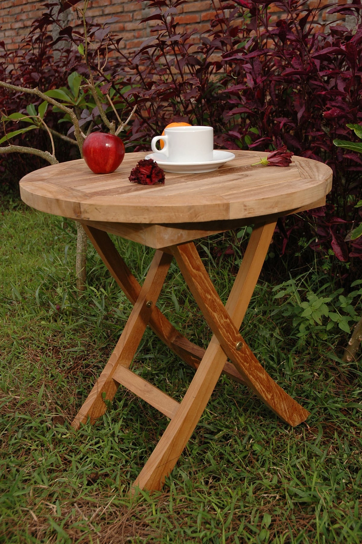Wooden folding table with a cup, plate, and apples on a grassy area with plants in the background
