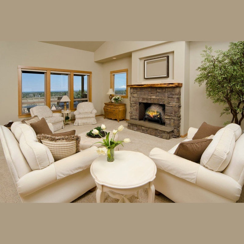Dimplex Revillusion 20 inch log set remote and controls