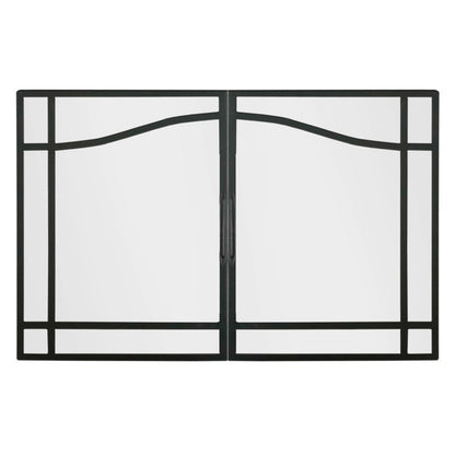 Dimplex BFSDOOR39BLK 39 inch swing glass door for BF39 firebox