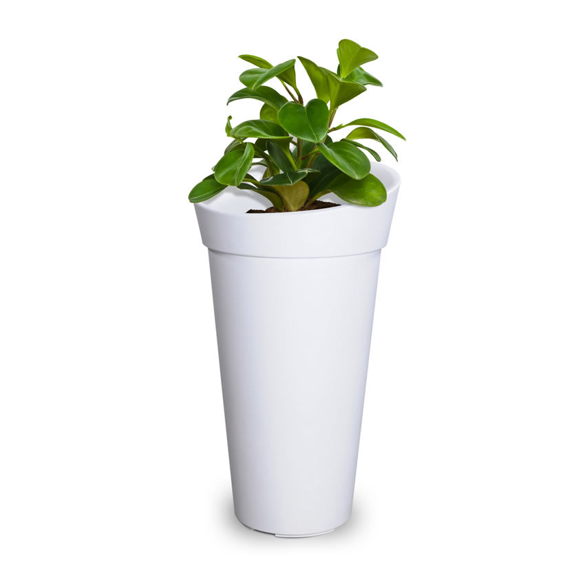 Mayne Creston 28" Tall Planter 5881 - BetterPatio.com