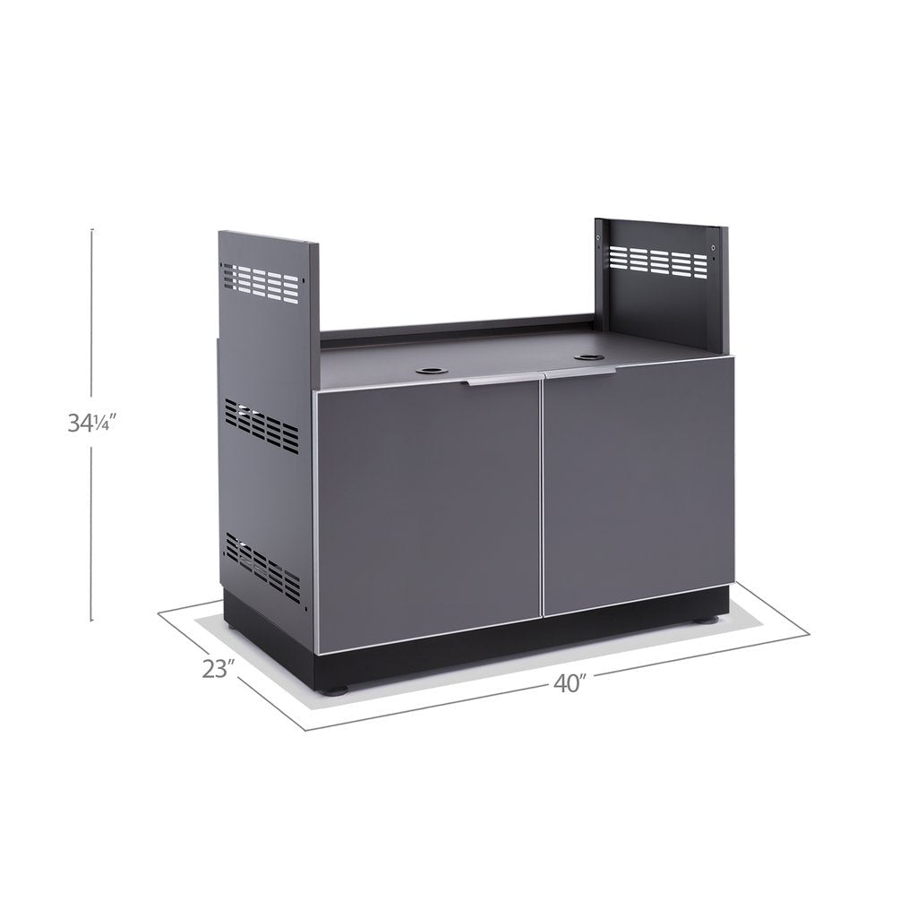 NewAge Outdoor Kitchen 40 in. Insert Grill Cabinet in Slate Gray 65209 - BetterPatio.com