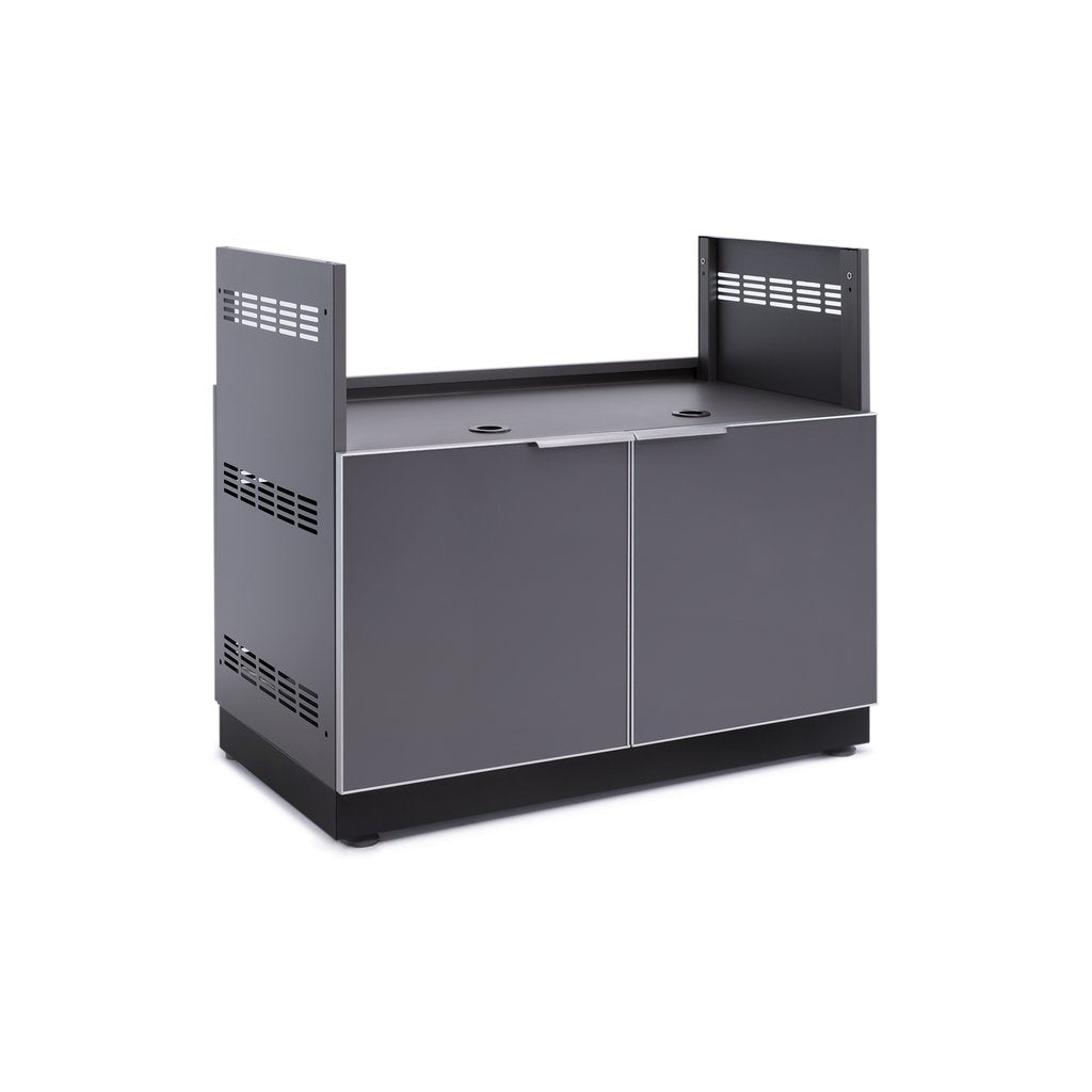 NewAge Outdoor Kitchen 40 in. Insert Grill Cabinet in Slate Gray 65209 - BetterPatio.com