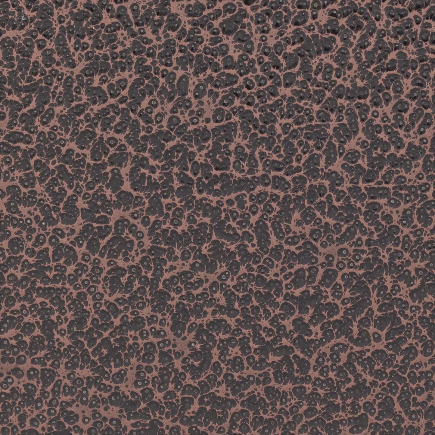 n  4162→        },