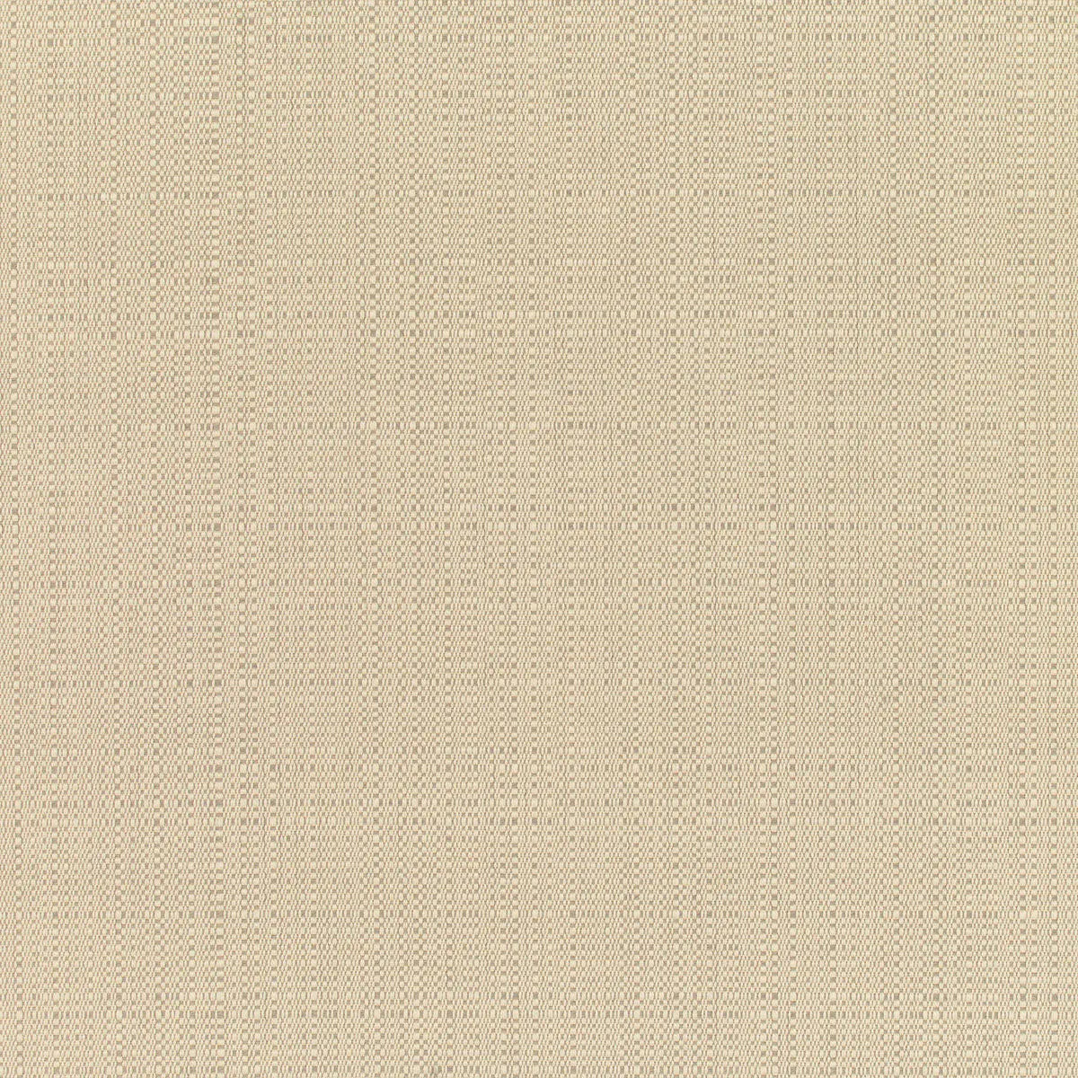 n  4568→        },