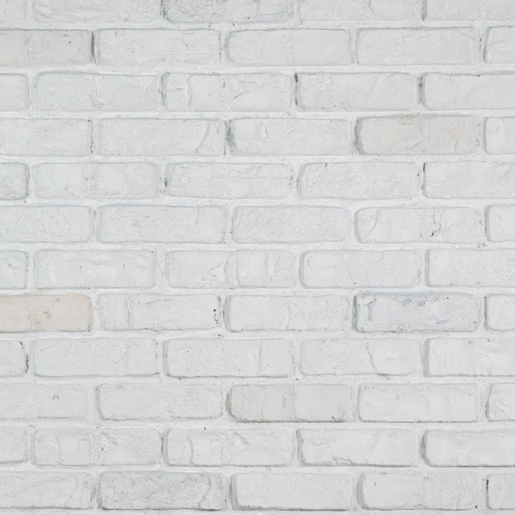 Reclaimed Brick White