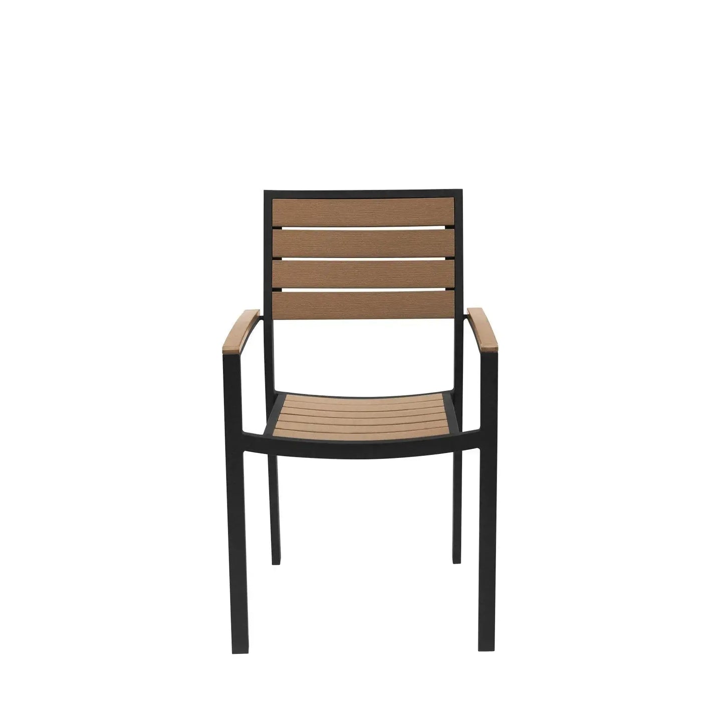 Source Napa Dining Arm Chair Black Frame SC-2405-163-BLK - BetterPatio.com