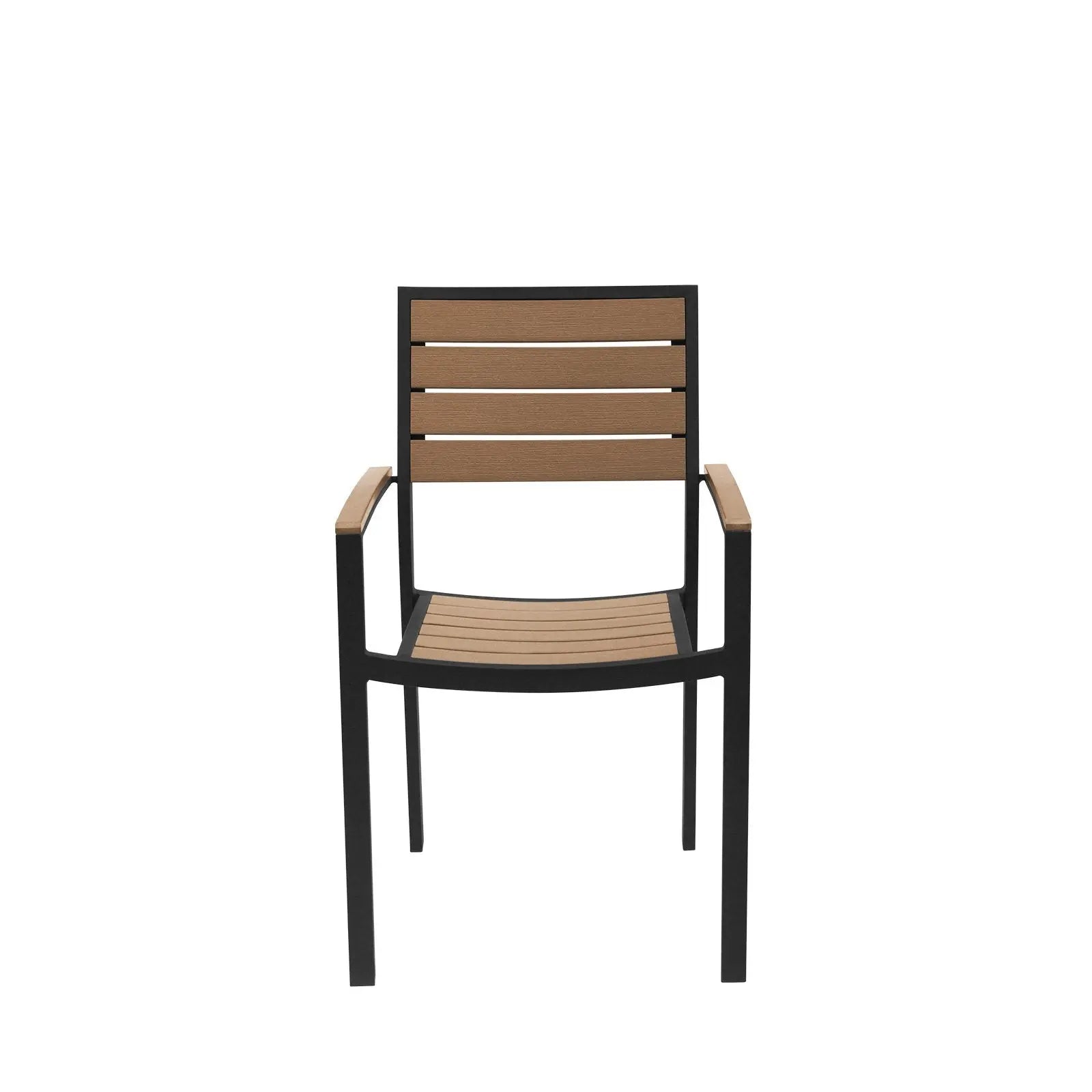 Source Napa Dining Arm Chair Black Frame SC-2405-163-BLK - BetterPatio.com