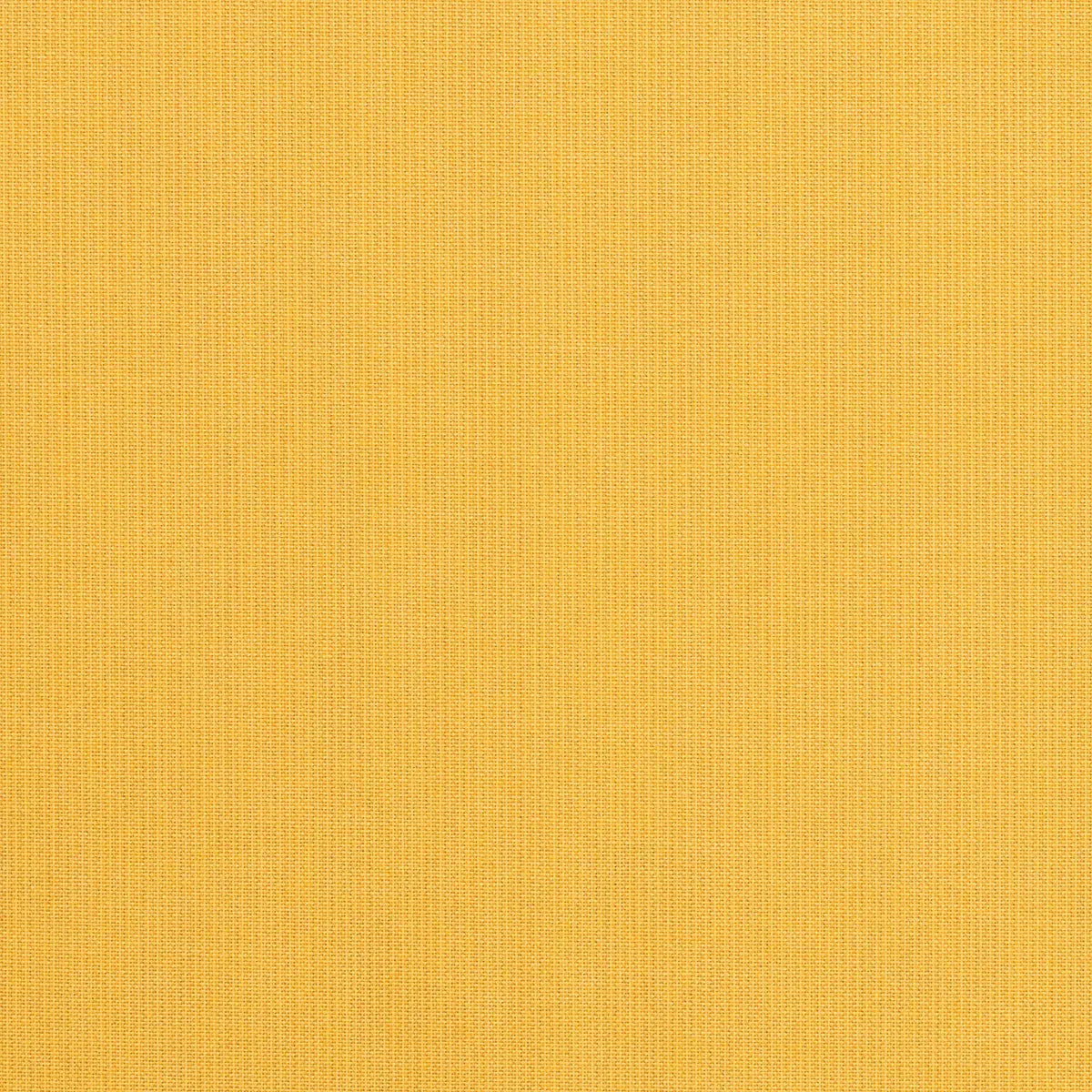n  4508→        },