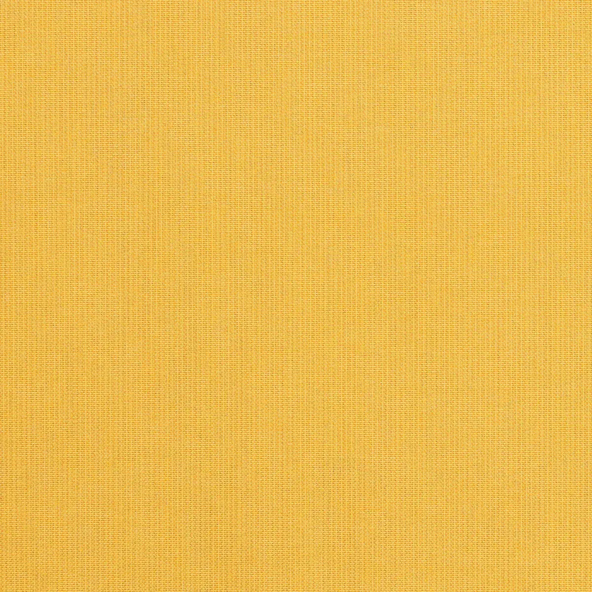n  6738→        },