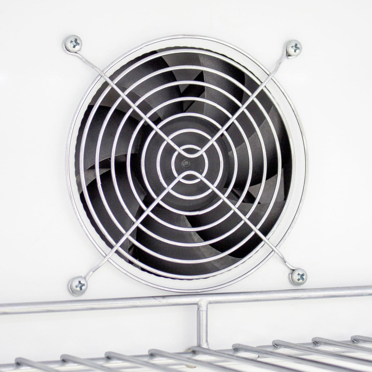 BlazeBlaze Outdoor Rated Stainless 24-Inch Refrigerator 5.2 cu. ft. BLZ-SSRF-50DH- BetterPatio.com