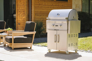 Coyote Outdoor LivingCoyote Outdoor C-Series 28 Inch Built In Grill with Two Infinity Burners C1C28LP- BetterPatio.com