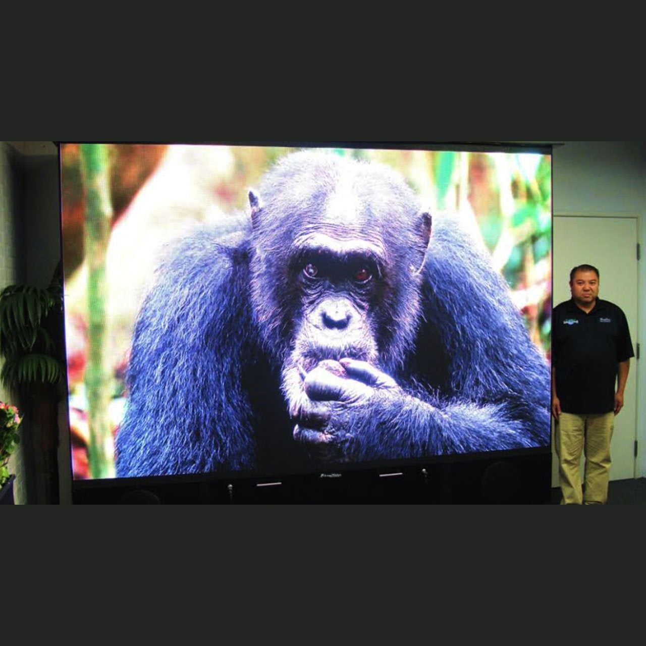 MirageVision TV Silver Series 65" - lifestyle outdoor TV installation photo 34