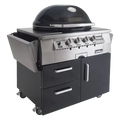 Primo Ceramic Grills X-Large Gas Primo Grill, Head Only (for Built Ins)