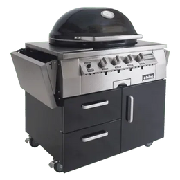 Primo Ceramic Grills X-Large Gas Primo Grill, Head Only (for Built Ins)