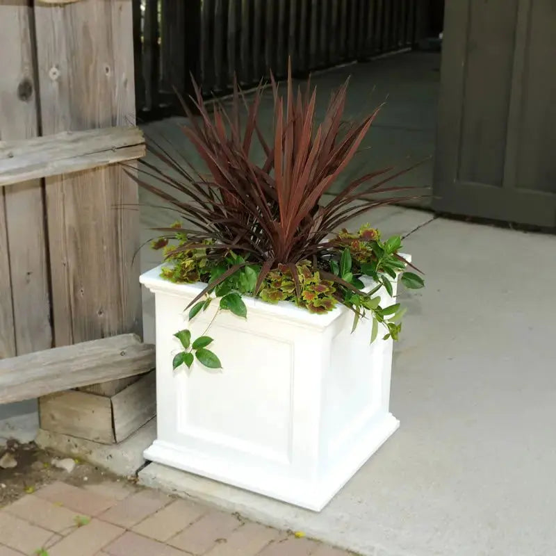  // BetterPatio.com