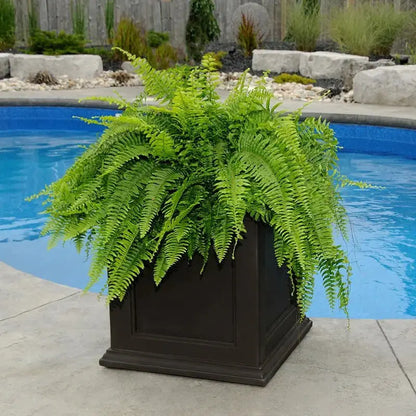  // BetterPatio.com