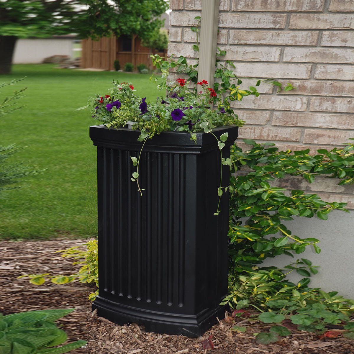 MayneMayne Madison Rain Catcher 5847 5847-B- BetterPatio.com