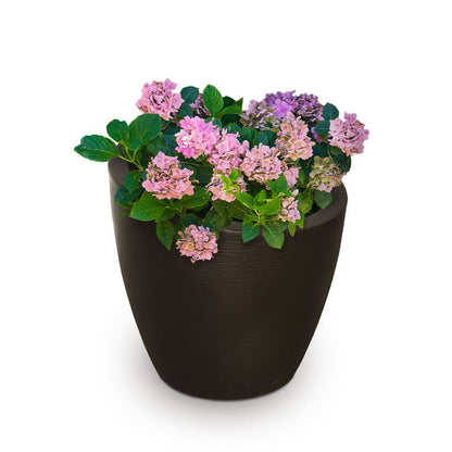  // BetterPatio.com