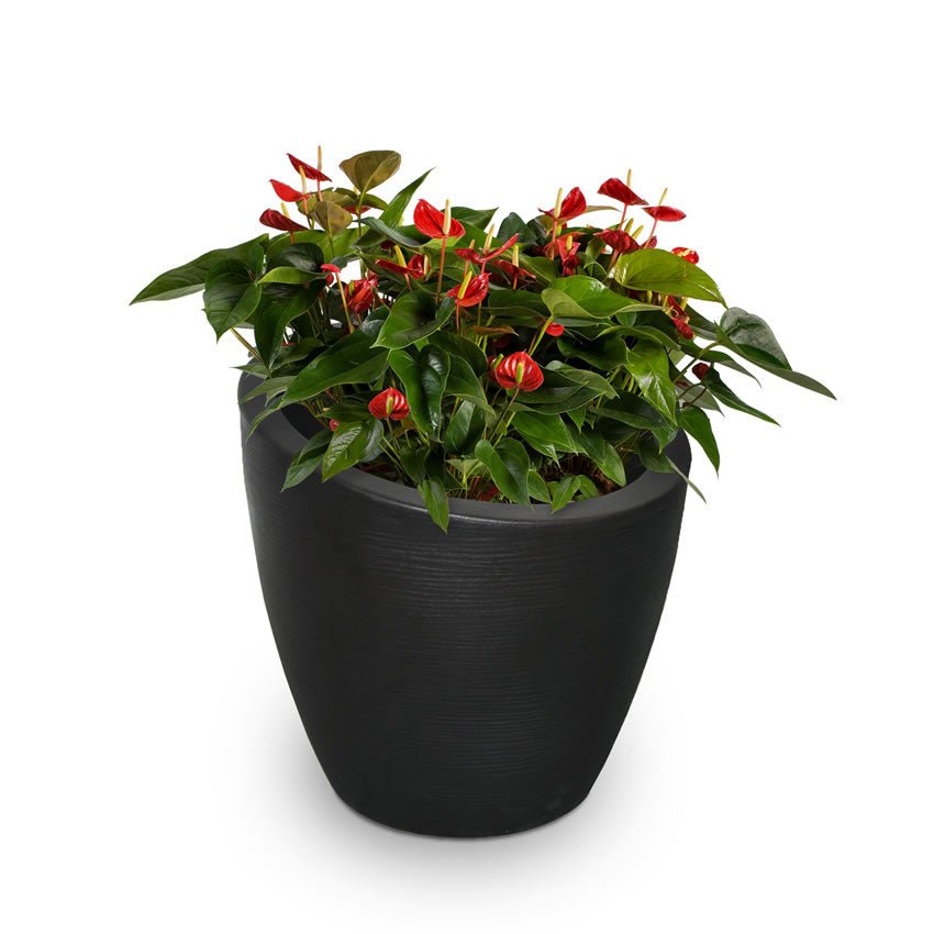  // BetterPatio.com