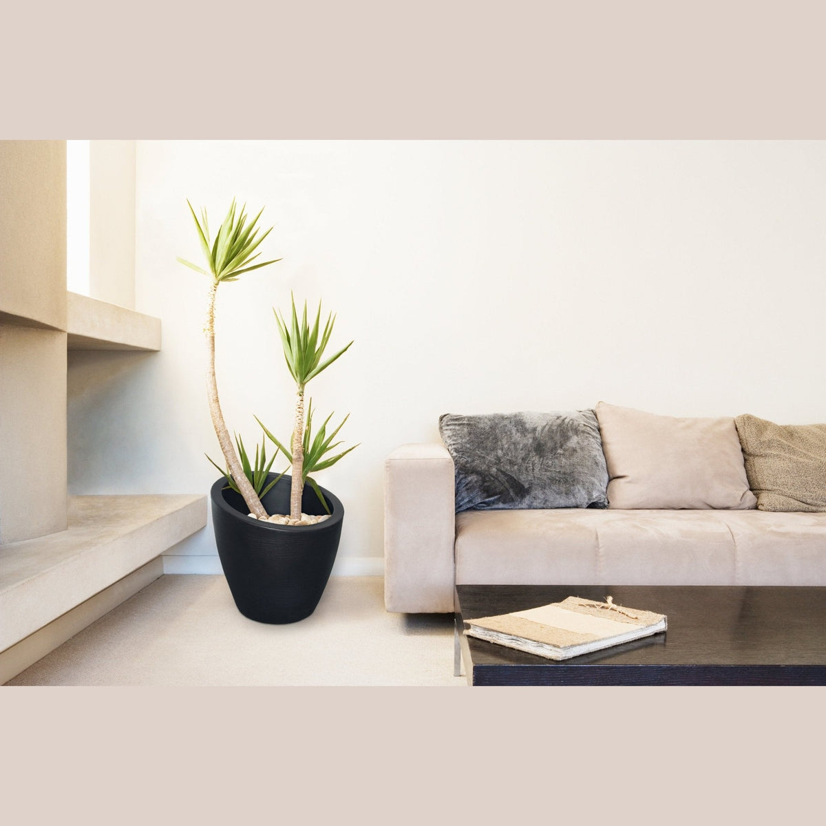 // BetterPatio.com