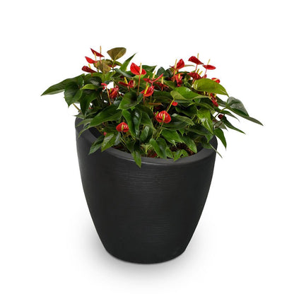 MayneMayne Modesto 30 inch Round Planter 8884 8884-B- BetterPatio.com