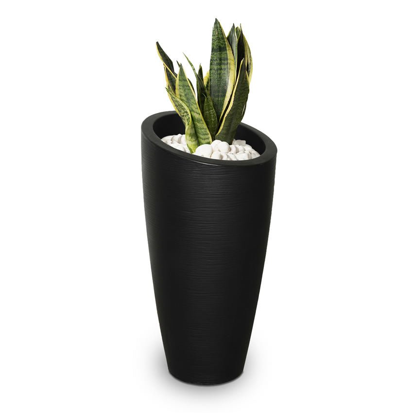  // BetterPatio.com