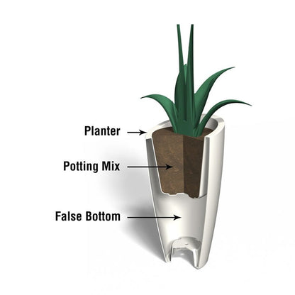  // BetterPatio.com