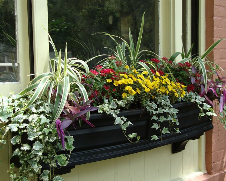 MayneMayne Nantucket Window Box 5FT 4832 4832-W- BetterPatio.com