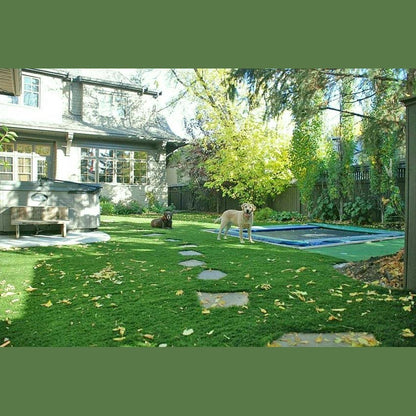 Mirage Waterless GrassMirage Waterless Grass MG3200 Artificial Grass for Residential and Commercial, 12 foot Width MG3200-20- BetterPatio.com