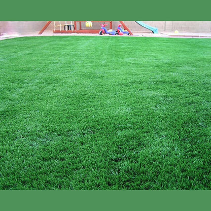 Mirage Waterless GrassMirage Waterless Grass MG3200 Artificial Grass for Residential and Commercial, 12 foot Width MG3200-20- BetterPatio.com