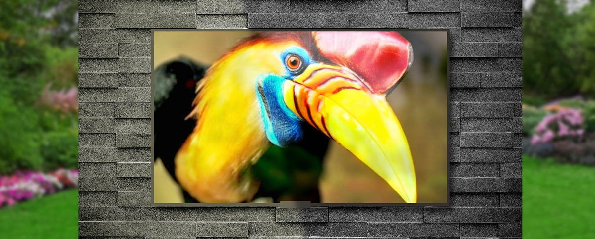 MirageVision TVMirageVision TV Platinum Series 55" MV55PQ60T- BetterPatio.com