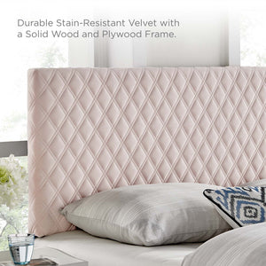 ModwayModway Angela Twin Performance Velvet Headboard MOD-6209 MOD-6209-PNK- BetterPatio.com